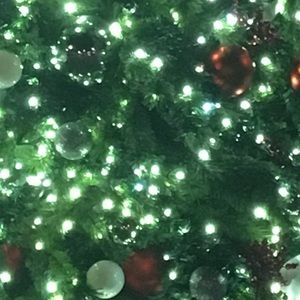 Meet your Posher, Chantel